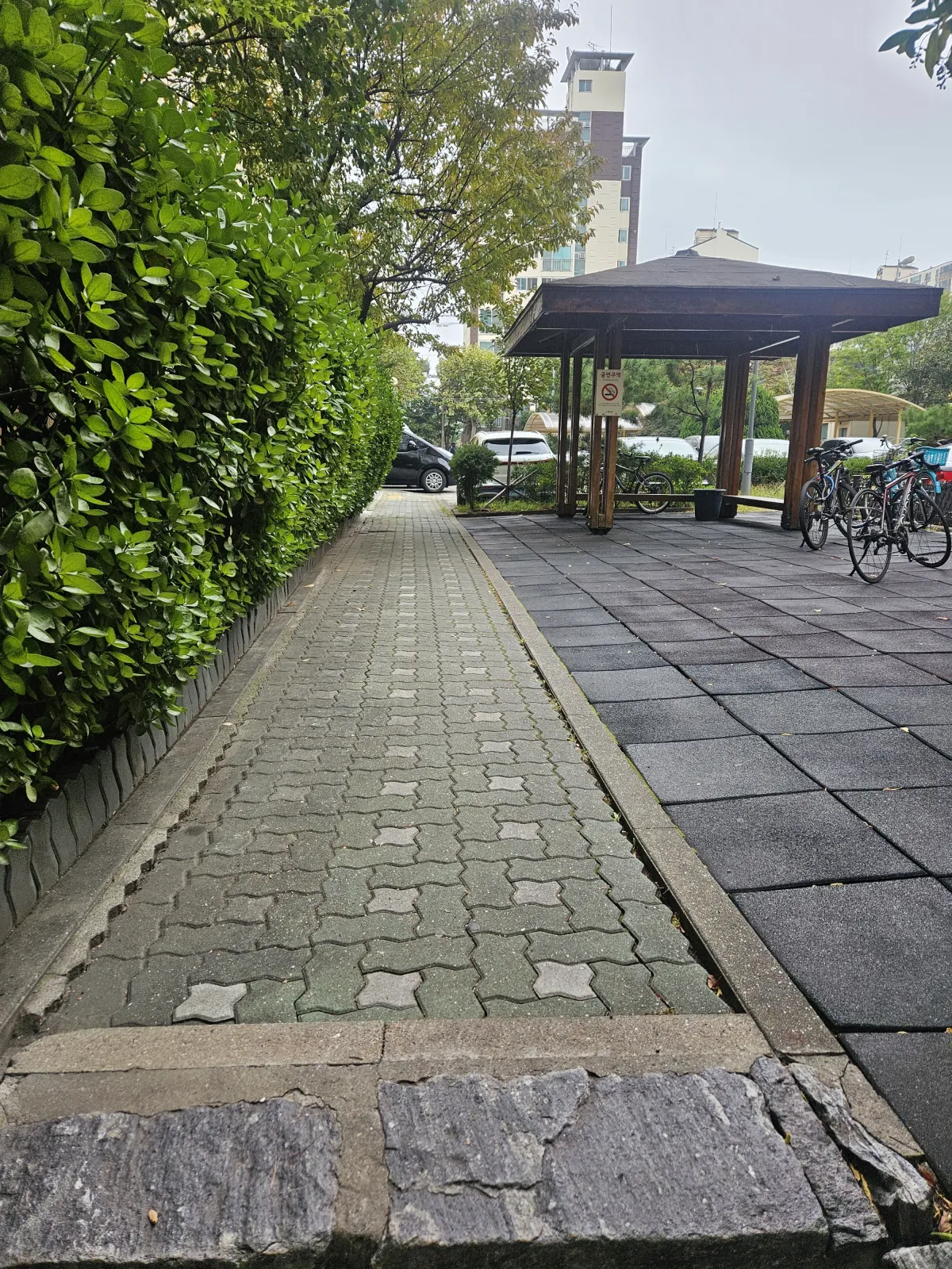 동대문구 장안동 서광아파트 단지 내 인도 보도블록 철거 전